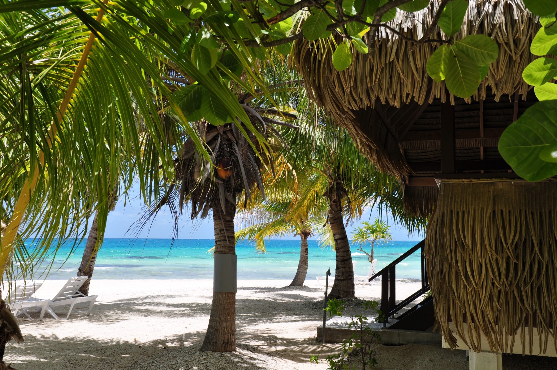 Pension Tikehau Paradise